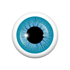 Eye ball isolated on white background - vector