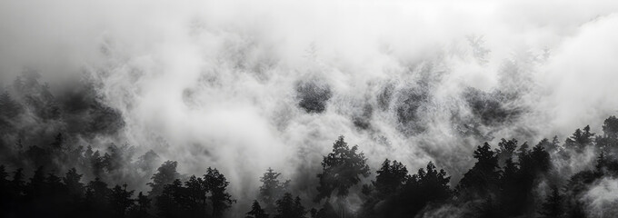 Clouds in the forest, banner - obrazy, fototapety, plakaty