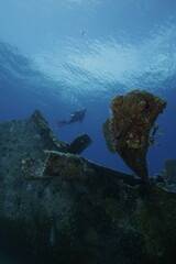 Fototapeta na wymiar Scuba diver exploring the wreck of the Benwood off Key Largo, Florida