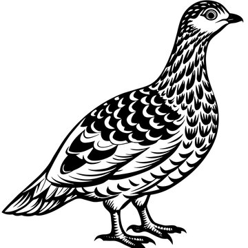 recommend clip art: ptarmigan silhouette vector art illustration