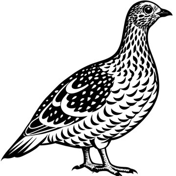 recommend clip art: ptarmigan silhouette vector art illustration