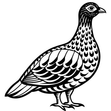 recommend clip art: ptarmigan silhouette vector art illustration