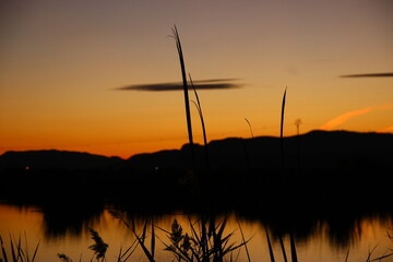 NATURALEZA
