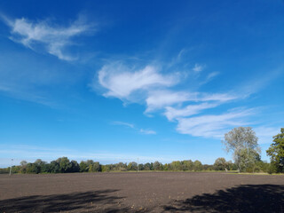 Fototapeta na wymiar Himmel mit Zirruswolken und Ackerland