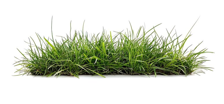 green grass field, isolated on a white background, front view, no shadow, with studio lighting, in the style of product photography