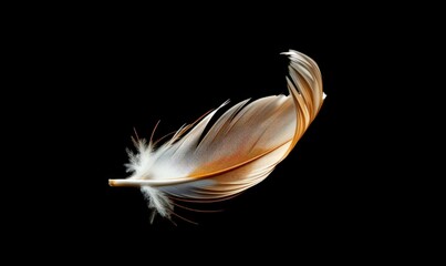 A single white feather is placed on a sleek black background, creating a stark contrast in colors