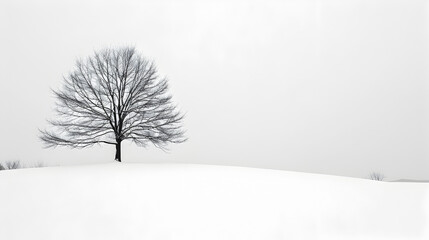 Fototapeta na wymiar Solitary Tree Standing in Snowy Winter Landscape