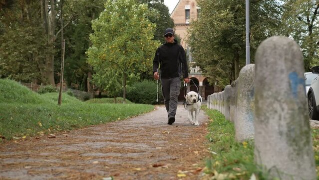 Blind woman taking a pleasant walk in a city park with her trained guide dog, front view. Service animal and people partnership concept.