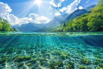 Tuinposter Exploring Lake Ecosystem. Summer Underwater View of Fresh Water Landscape in Mountain Lake - Aquatic Nature Background © Serhii