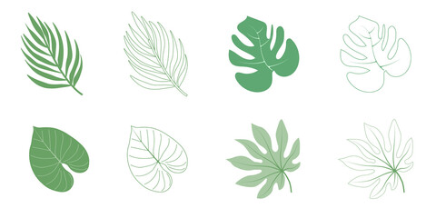 Minimal drawn leaves botanical line art. Trendy elements of garden and spring leaves. Illustration for invitation, banners, cards