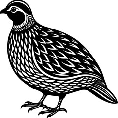 quail silhouette vector art illustration