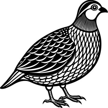 black and white bird standing clip art preview