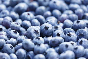 fresh ripe blueberries as background - 773422769