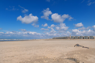Beach huts in landscape at the Dutch coast - 773424536