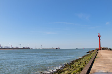 Dutch coast harbor Hoek van Holland - 773424590