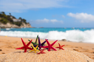 Tropical starfishes at the beach - 773424730