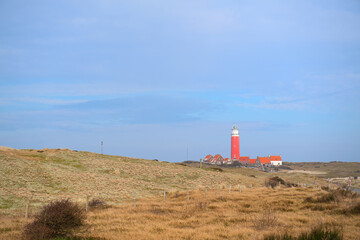 Lighthouse on Dutch island Texel - 773424762