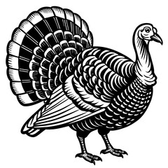 Obraz premium turkey silhouette vector art illustration