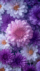 Purple and white flower arrangement - 773426572