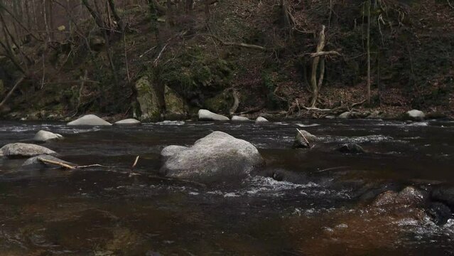 View of the Bode river in the Harz mountains, Saxony-Anhalt - Germany