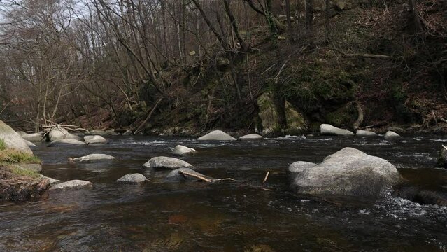View of the Bode river in the Harz mountains, Saxony-Anhalt - Germany