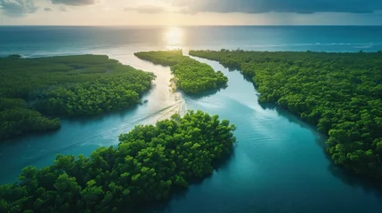 Fotobehang A peaceful coastal inlet, with mangrove forests providing vital habitat for marine life, emphasizing the value of coastal conservation. © TheNoteTravel