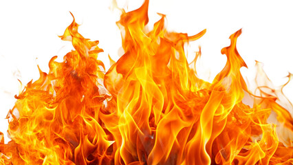 Bright and dynamic fire flames, cut out - obrazy, fototapety, plakaty