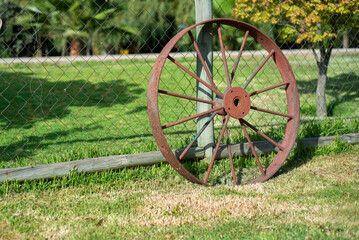 an old iron wheel taking rest on a green field