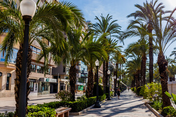 Fototapeta na wymiar explanada promenade in Alicante spain.