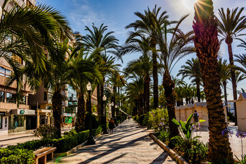 Fototapeta na wymiar explanada promenade in Alicante spain.