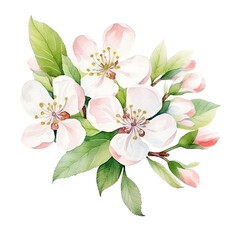 White Flowers With Green Leaves Painting - obrazy, fototapety, plakaty
