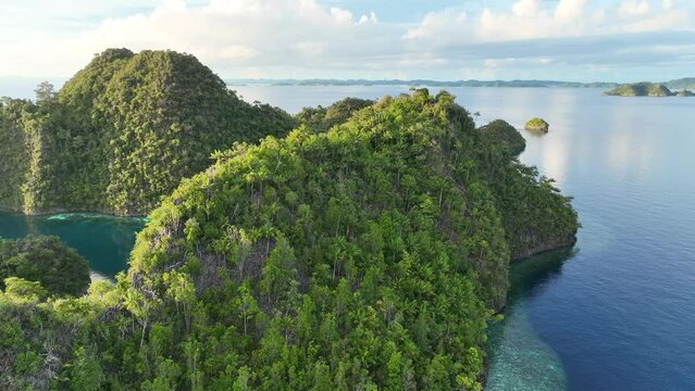 Limestone islands, fringed by reef, rise from Raja Ampat's tropical seascape. This region of Indonesia is known as the heart of the Coral Triangle due to the high marine biodiversity found there.