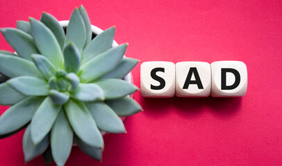 Sad symbol. Wooden cubes with words Sad. Beautiful red background with succulent plant. Business...