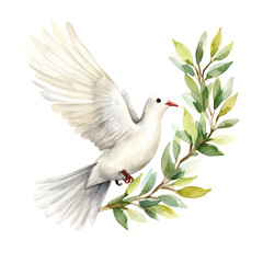 Dove Holding Twig in Watercolor