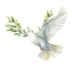 Dove Holding Twig in Watercolor