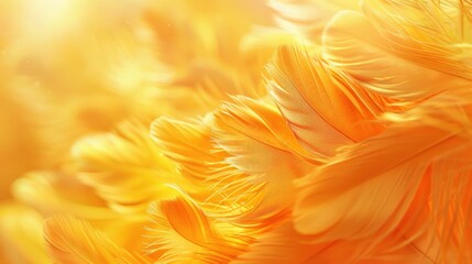Close up photo of golden yellow feather color, vibrant color background