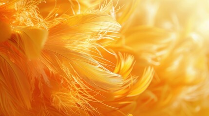 Close up photo of golden yellow feather color, vibrant color background - obrazy, fototapety, plakaty