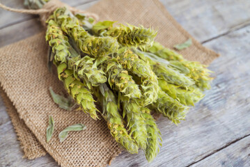 Mursala tea on a wooden background 