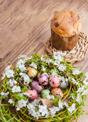 Colorful Quail Easter Eggs in nest and Easter bread