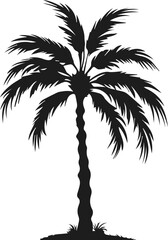 Palm Tree Silhouette