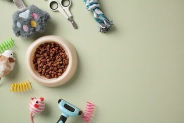 Top view photo of pet accessories and bowl of dry food. Domestic cat care grooming, training...