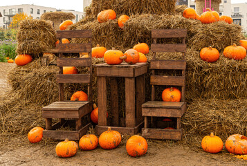 pile of pumpkins	
