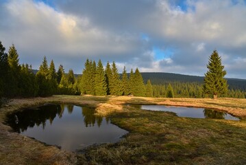 Peatland in the basin of a mountain river and the settlement of Jizerka in the Jizera Mountains....
