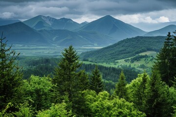 Trees Mountains. Green Trees and Mountains in Daytime Landscape. Nature in Czech Republic and Italy