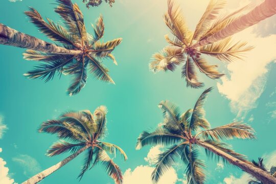 Summer Tropical. Vintage Style View of Palm Trees Under Blue Sky for Beach Background