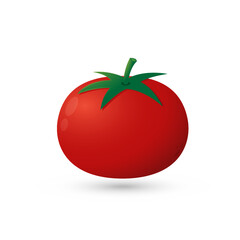 Tomato on white background. Vector illustration of fresh tomato.