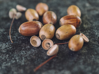 acorns on a wooden table