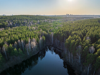 Obraz premium Spring or autumn lake in forest. Aerial view of lake in spring or autumn
