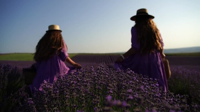Mom and daughter are running through a lavender field dressed in purple dresses, long hair flowing and wearing hats. The field is full of purple flowers and the sky is clear.