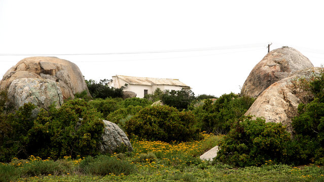 Old neglected cottages on the West Coast, Sout Africa. Fine art photography. 